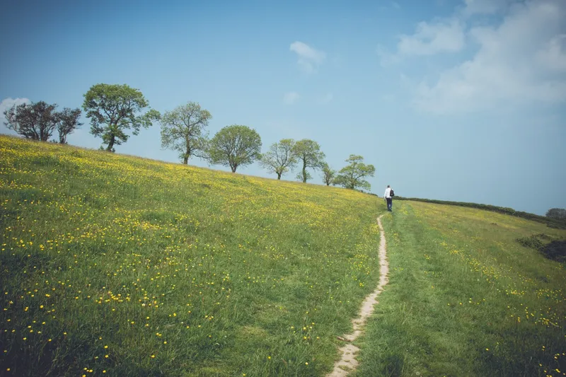 street landscape beautiful devon