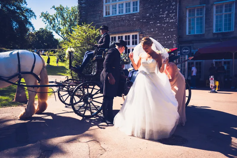 torquay wedding horses candid